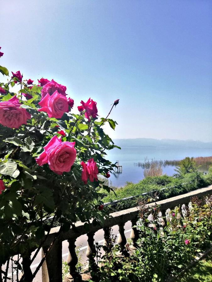 Villa Stefan 奥赫里德 外观 照片